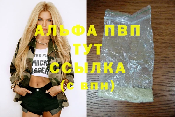 эйфоретик Покачи